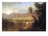 Tropical Scene