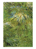 Grass