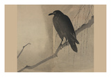 Crow on a Willow Branch