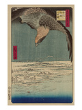 Hawk Flying Above a Snowy Landscape Along the Coastline