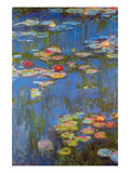 Water Lilies  3
