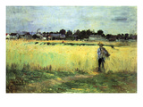 Wheat Field