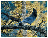 Regal Blue