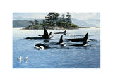 Passing Through-Orcas