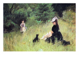 In the Meadow