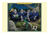 Shrewdness of Apes
