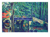 Bridge in the Forest