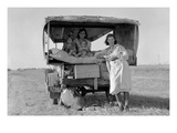 Searching for Work in the Cotton Fields