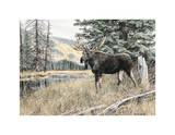 Chilcotin Country