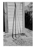 Farming Tools Still Life