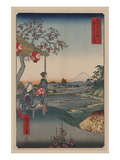 Fujimi Teahouse at Zoshigaya (Zoushigaya Fujimi Chaya)