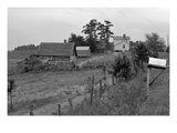 Negro Sharecropper Farm