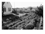 Homestead Poject