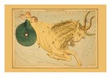 Capricorn