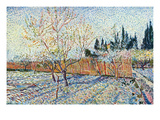 Orchard
