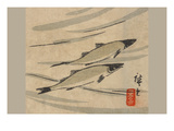River Trout (Ayu Zu)