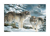 Wolf Watch
