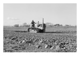 Cultivating Potato Field