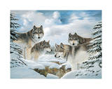 Wold Pack