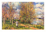 Les Petits Prés Au Printemps