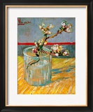 Blossoming Almond Branch in a Glass  c1888