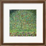 Apple Tree  1912