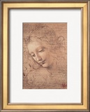 Female Head (La Scapigliata)  c1508