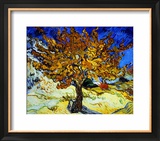 Mulberry Tree  c1889