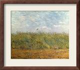 Wheat Field with a Lark