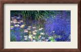 Waterlilies (Les Nympheas)  Study of the Morning Water