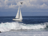 Sailboat on Monterey Bay  California