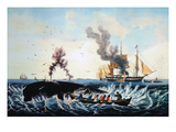 The Whale Fishery