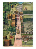 Algonquian Village  1590