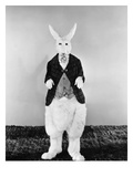 Alice in Wonderland  1933