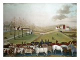 Hicks: Cornell Farm  1848