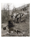 Apache and Horses  c1903