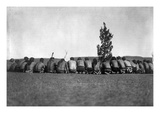 Arikara Shamans  c1908