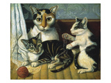 Cat and Kittens
