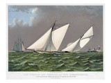 America's Cup  1885