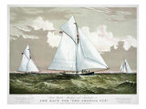 America's Cup  1881