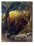 Palmer: Apple Tree