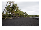 Hawaii: Beach  2005