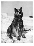 Terra Nova Expedition