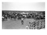 Texas: Cowboy  1939