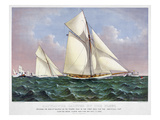 America's Cup  1886