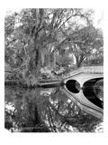 South Carolina: Lake  c1900