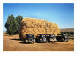 Colorado: Haystack  1940