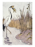 Aesop: Frogs Wish for King