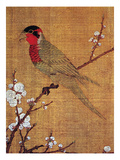 China: Parakeet