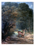 Courbet: Hunted Deer  1866